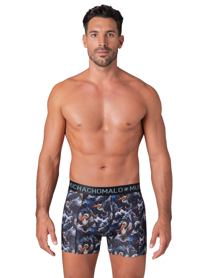 Afbeelding van PELICAN FLY 1010-01 Print Black - Heren Boxers - Muchachomalo