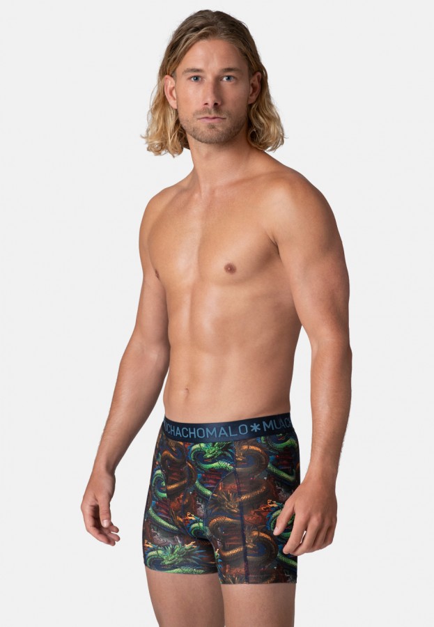 Afbeelding van 2-Pack DRAGON1010-01 Print Blue - Boxers - Muchachomalo
